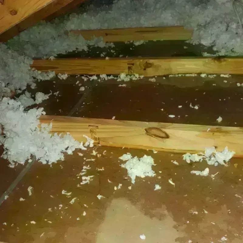 Attic Water Damage in Lennox, SD