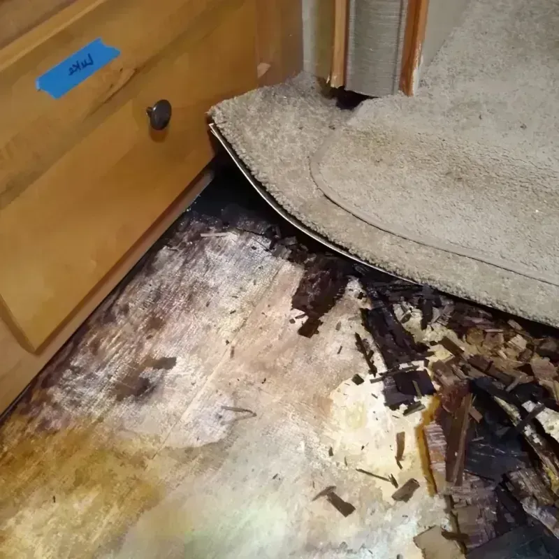 Wood Floor Water Damage in Lennox, SD